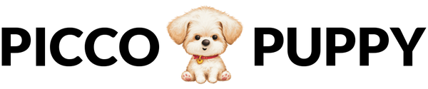 PICCO PUPPY