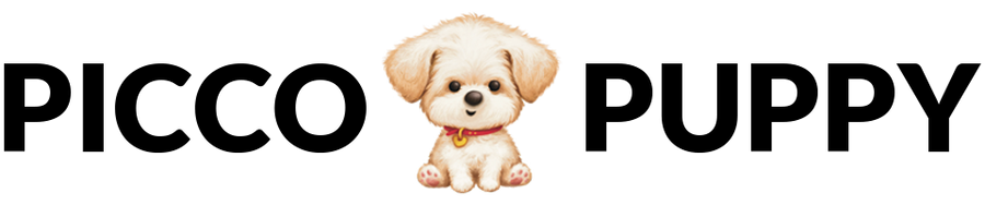 PICCO PUPPY